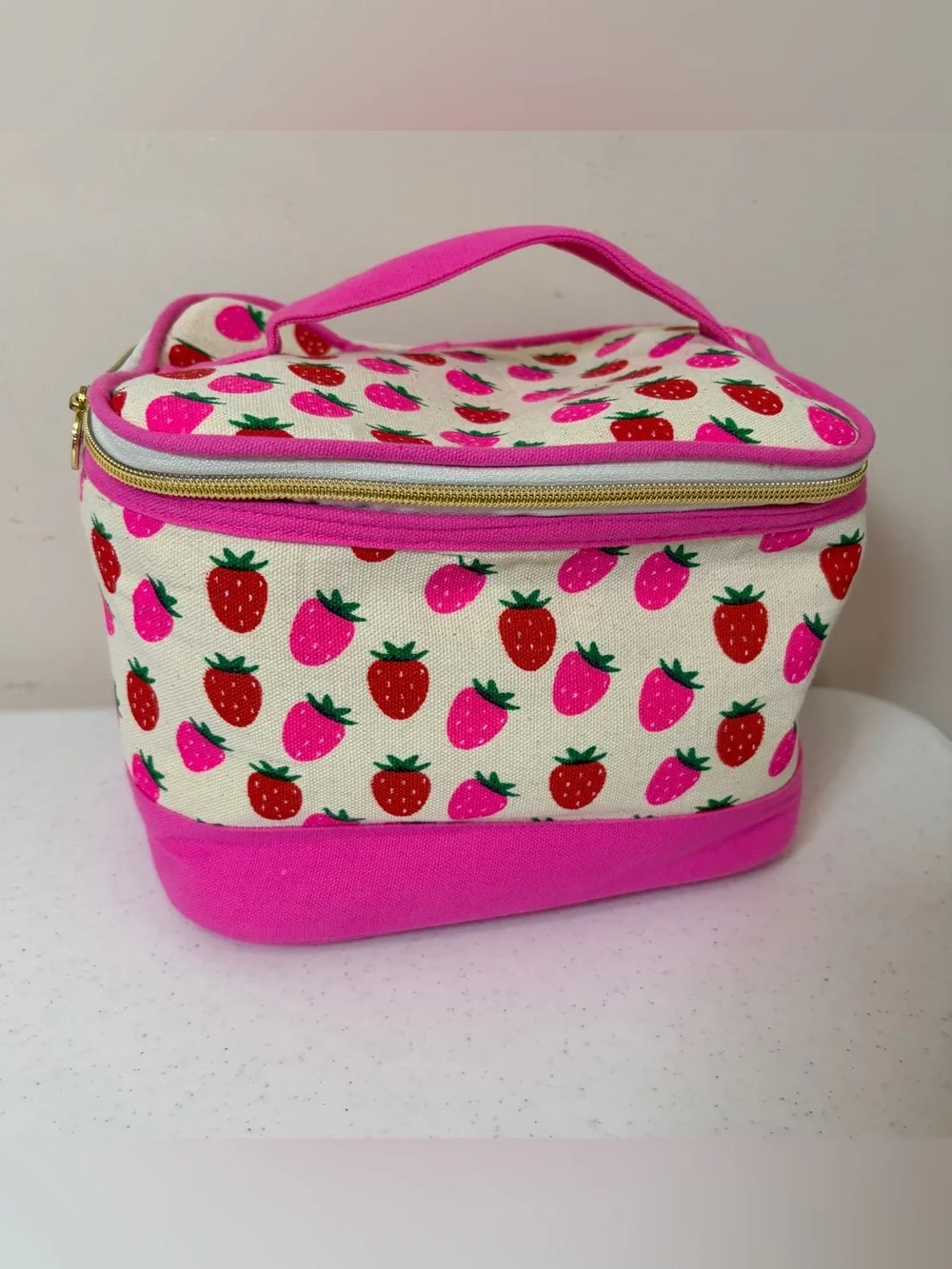 DABNEY LEE Strawberry Print Canvas Train Case Cosmetics Bag
